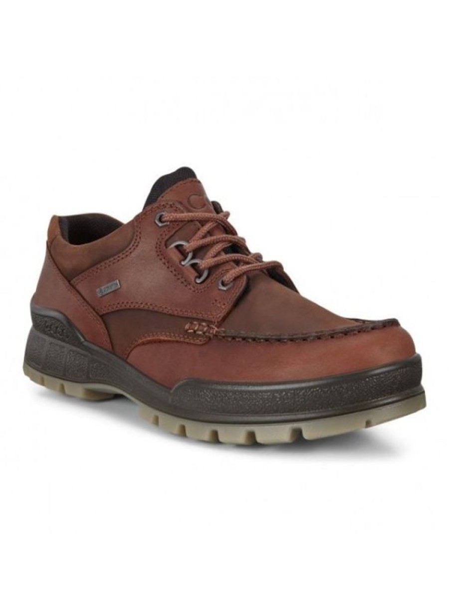 ecco Chaussure De Marche En Goretex Track 831714 | Homme 46-52 Detente