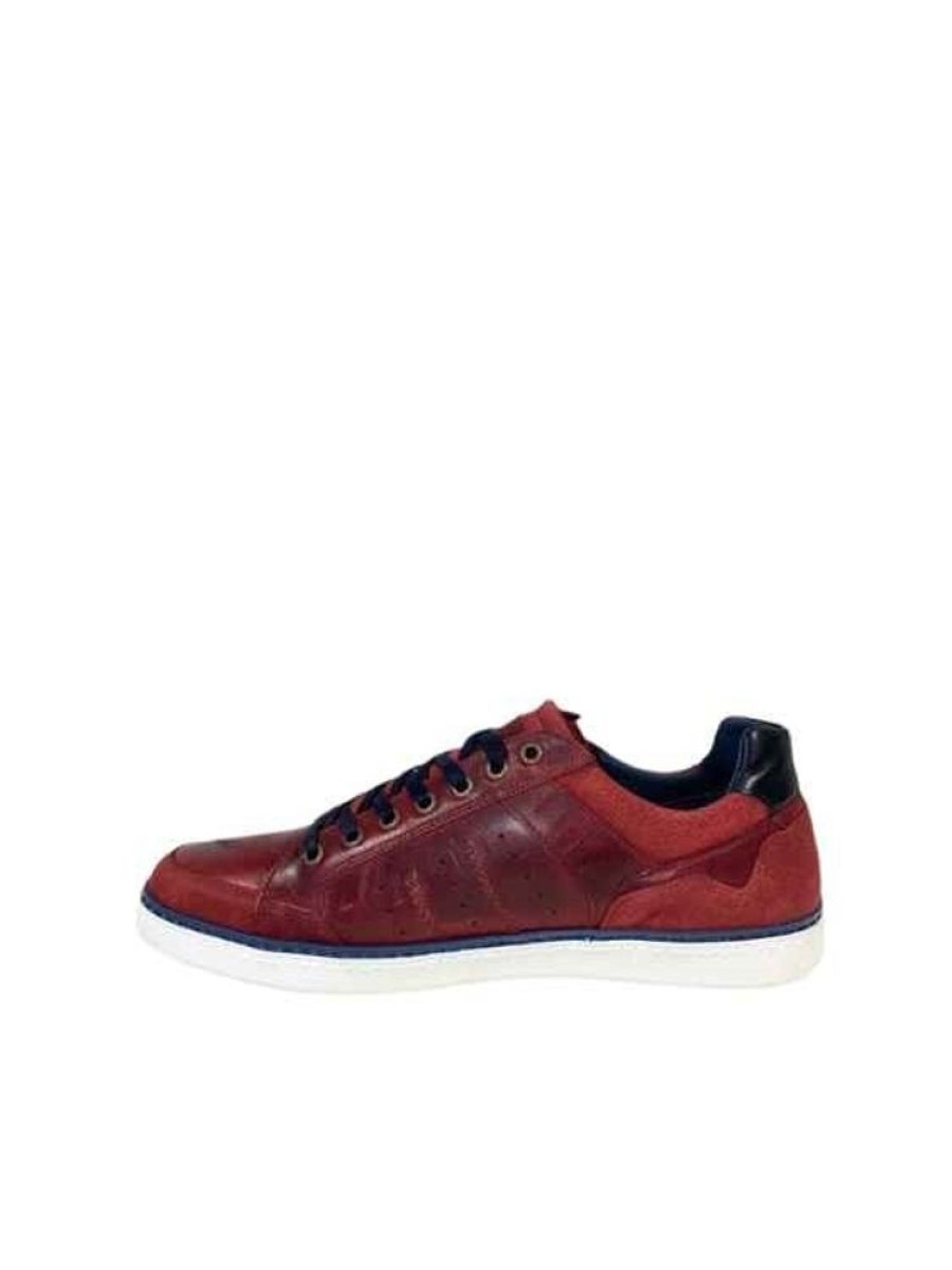 arid Sneaker Ron | Homme 46-52 Lacets-Derby