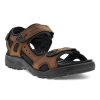 ecco Sandale Marche Offroad | Homme 46-52 Sandale