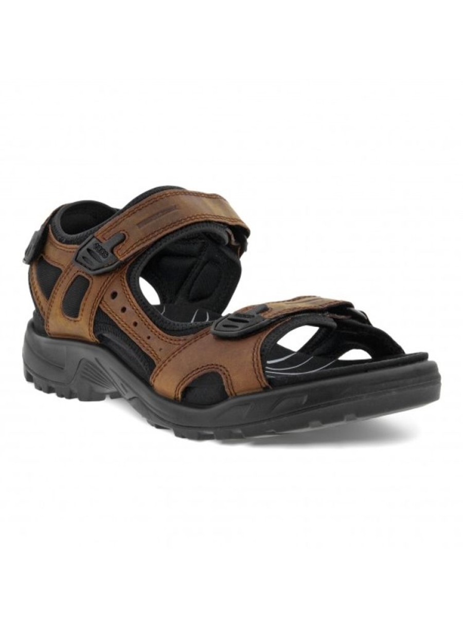 ecco Sandale Marche Offroad | Homme 46-52 Sandale